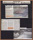 art 1 image